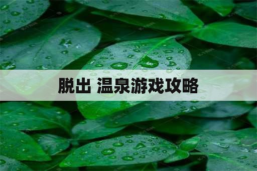 脱出 温泉游戏攻略